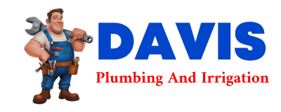 Trusted plumber in LINVILLE